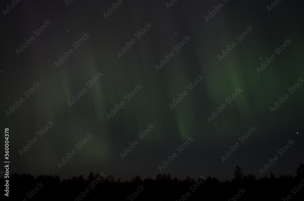 aurora borealis on arctic autumn night sky