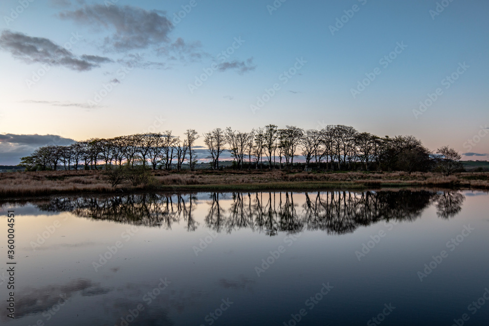 Irish landscape