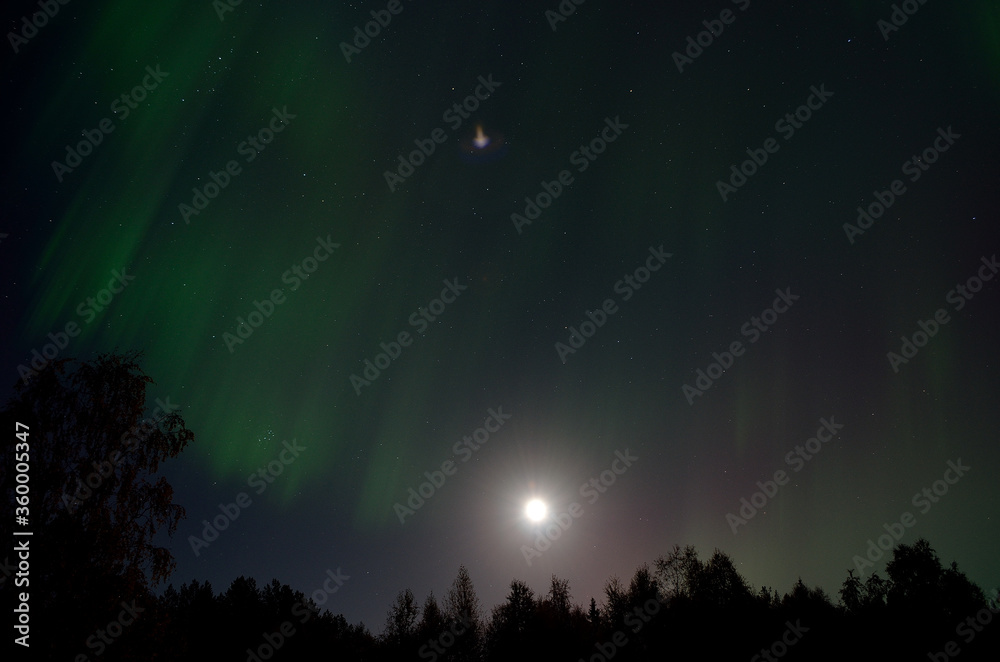 aurora borealis dancing over forest on a full moon autumn night