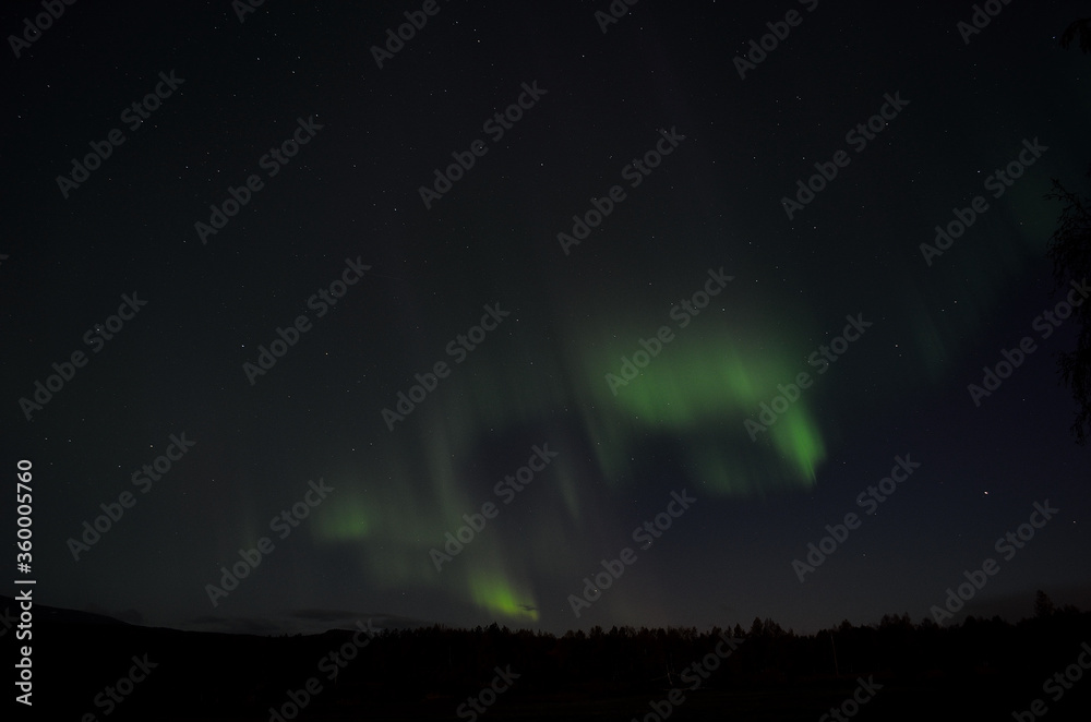 aurora borealis dancing on the night sky in autumn