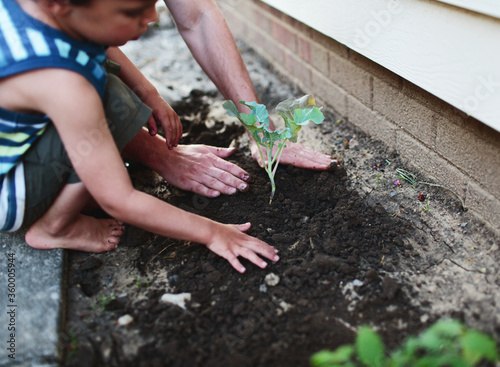 boy planting vegetables in small backyard garden