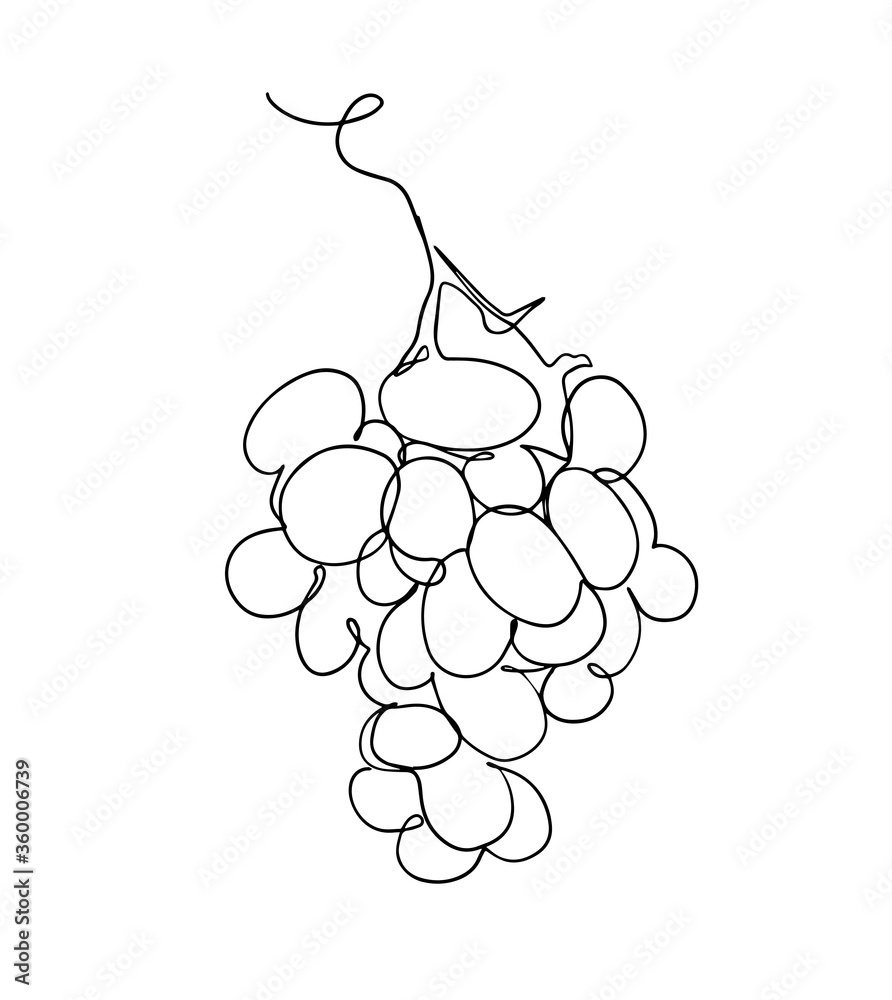 Grapes in continuous line art drawing style. Black line sketch on white