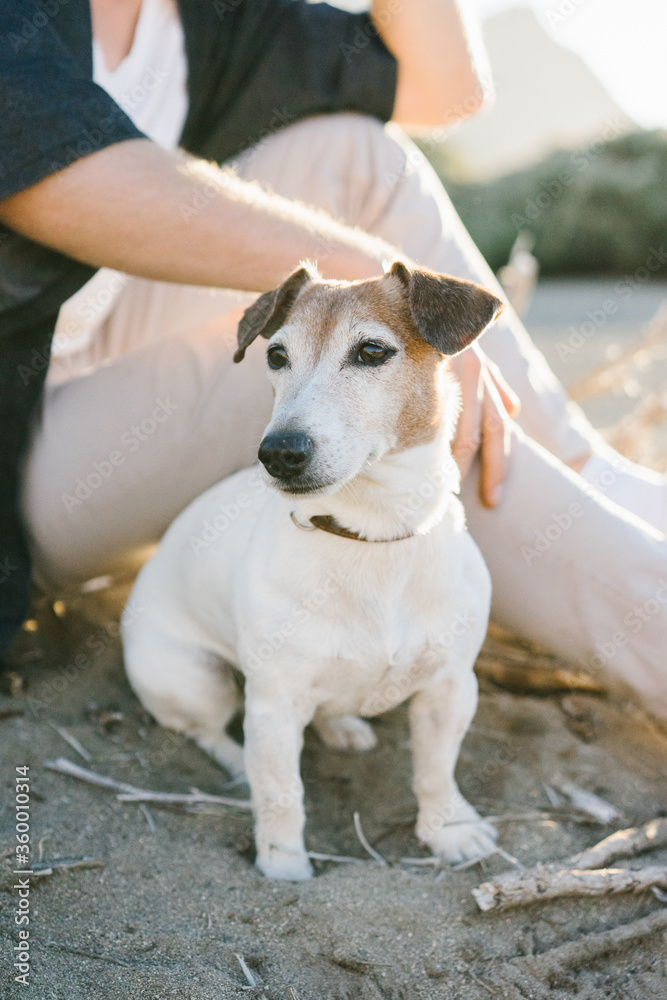 Male sitting on sand with adorable cute dog Male sitting on sand with adorable cute dog