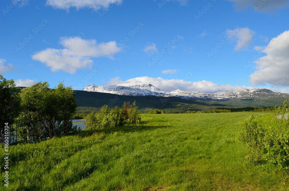 green pasture, snowy mountain and blue sky
