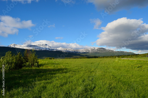 green pasture, snowy mountain and blue sky