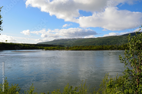 summer river and mountain landscape