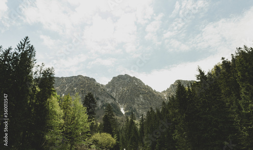 Panoramic view on mouintain peak from forest