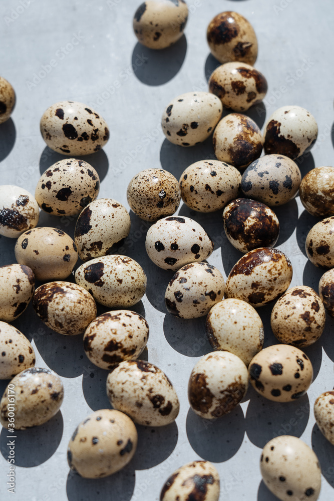 From above spotted eggs on light blue background