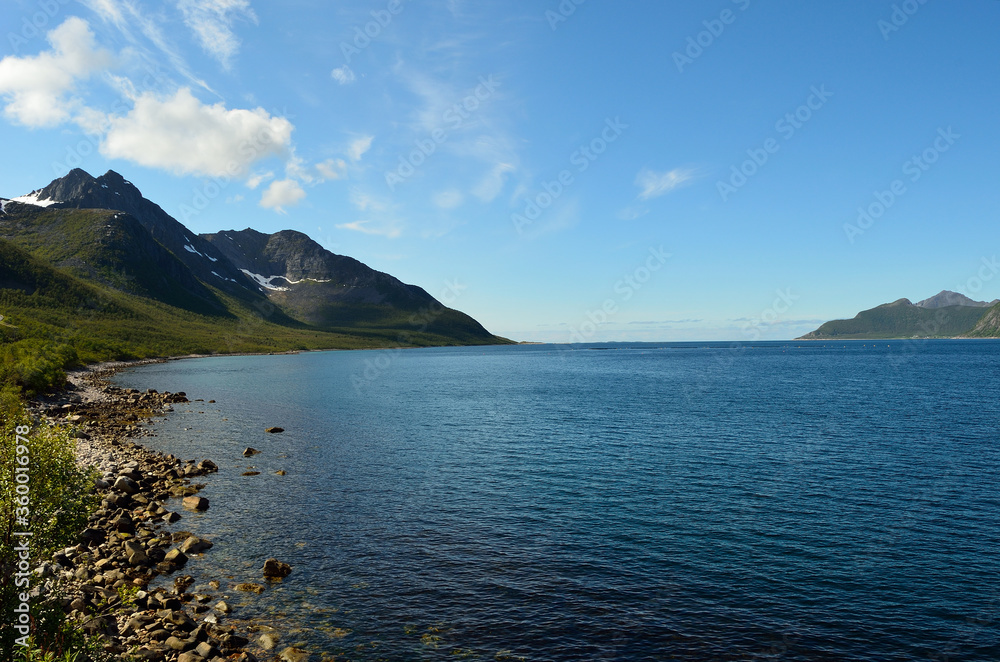 summer landscape with fjord and mountains