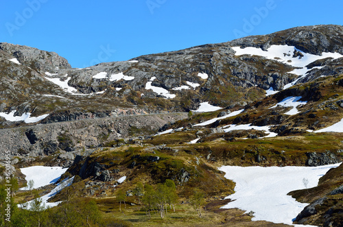 mountain road in summer