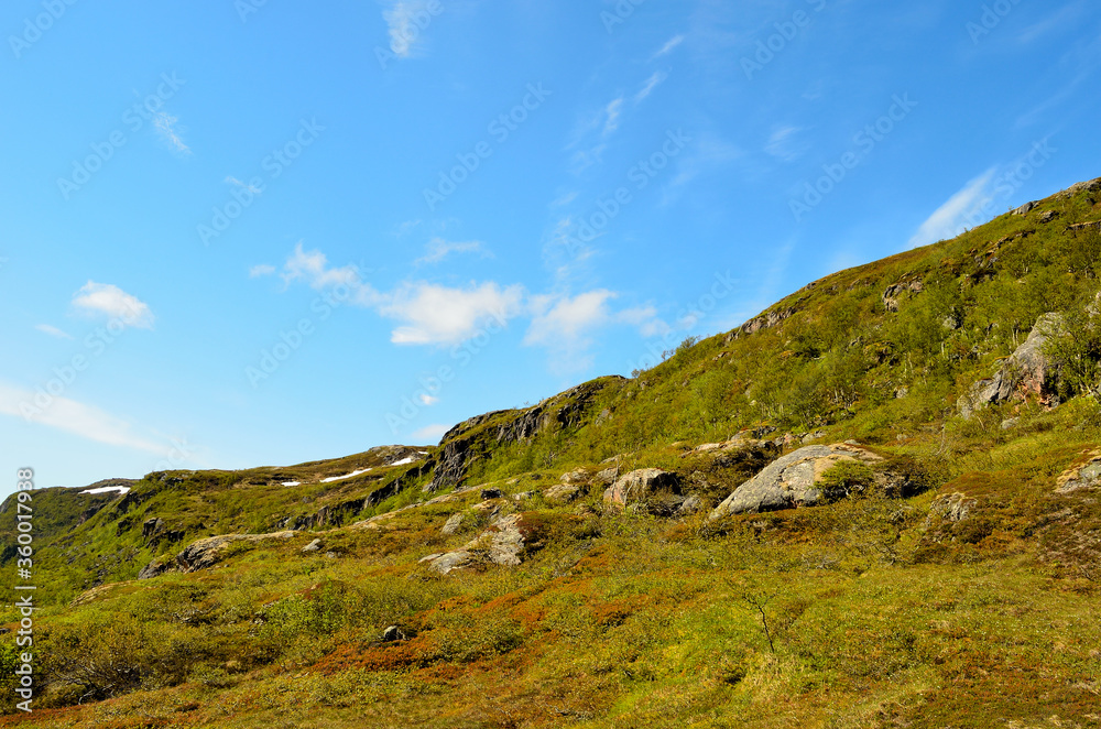 mountain landscape in summer