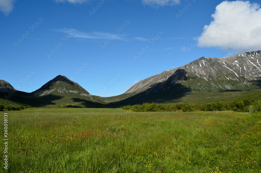 lush green deep valley and field in summer