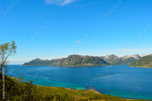 summer landscape with majestic mountanis and deep blue fjords © Arcticphotoworks