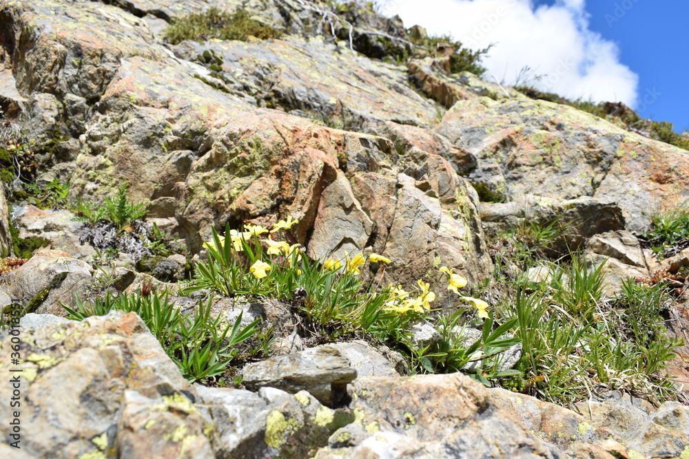 Tra le rocce Tra le rocce