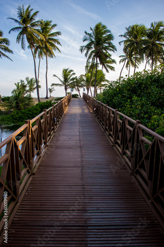 path to the beach Costa do Sauipe