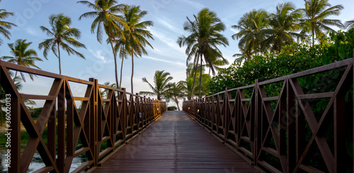 landscape path to the beach Costa do Sauipe