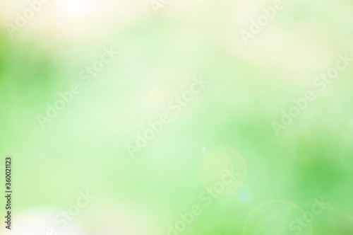 nature green background with bokeh lights