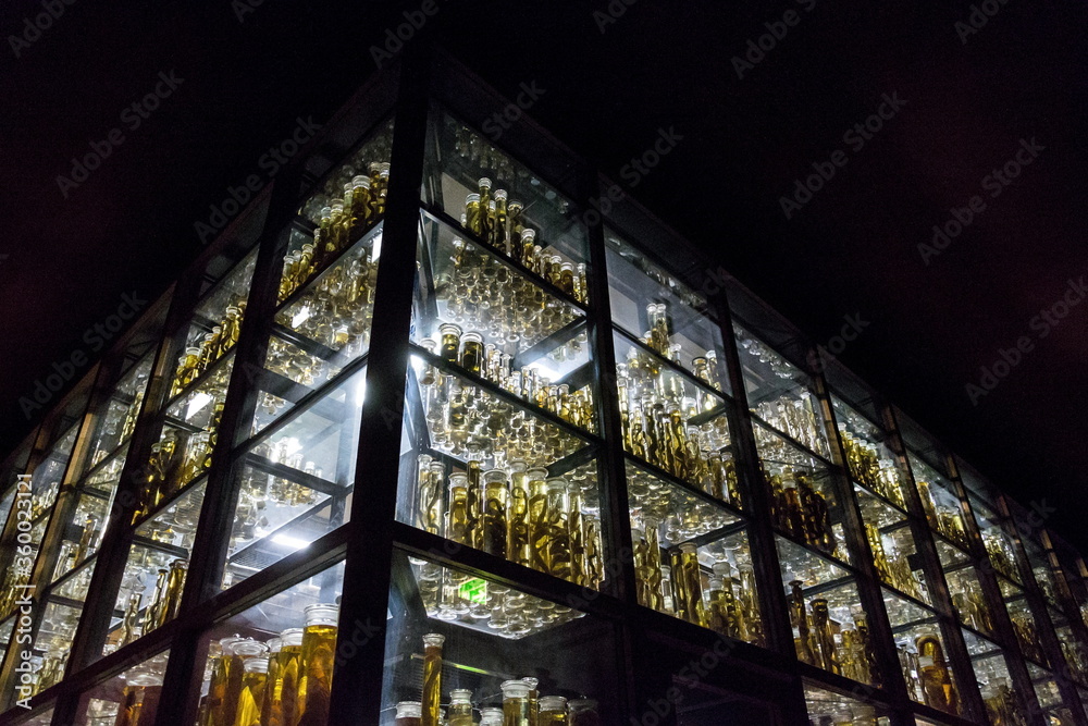 Shelves with various animals preserved in formaldehyde solution Shelves with various animals preserved in formaldehyde solution