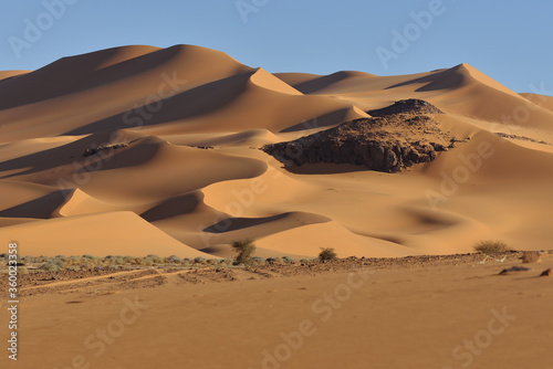 DESERT LANDSCAPE IN THE SAHARA IN ALGERIA.