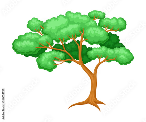 Tree with Exuberant Green Foliage and Trunk Vector Illustration