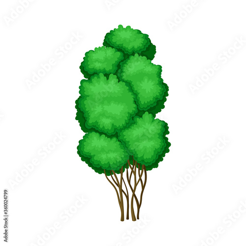 Tree with Exuberant Green Foliage and Trunk Vector Illustration