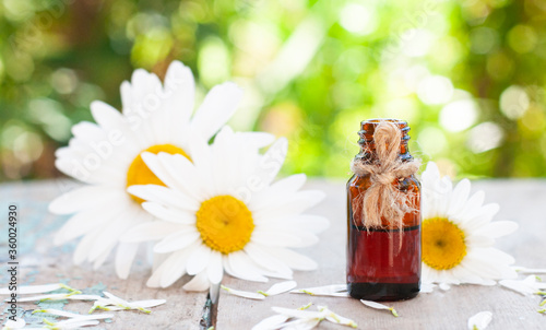 Essential oil in glass bottle with fresh chamomile flowers and leaves on the wood table top
