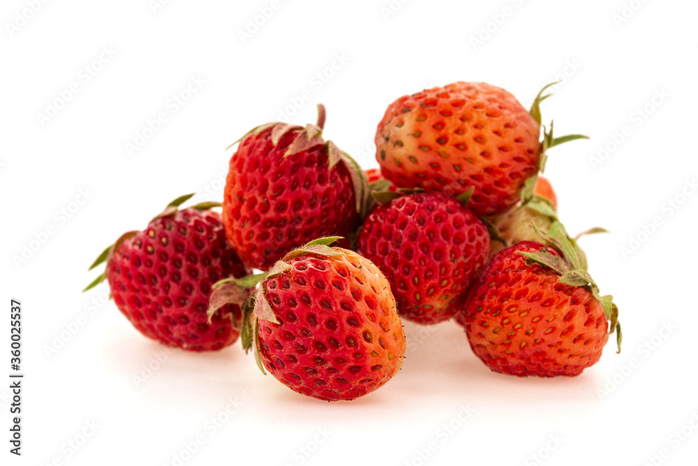 Strawberry fruit close-up. Macro photography. Strawberry fruit close-up. Macro photography.