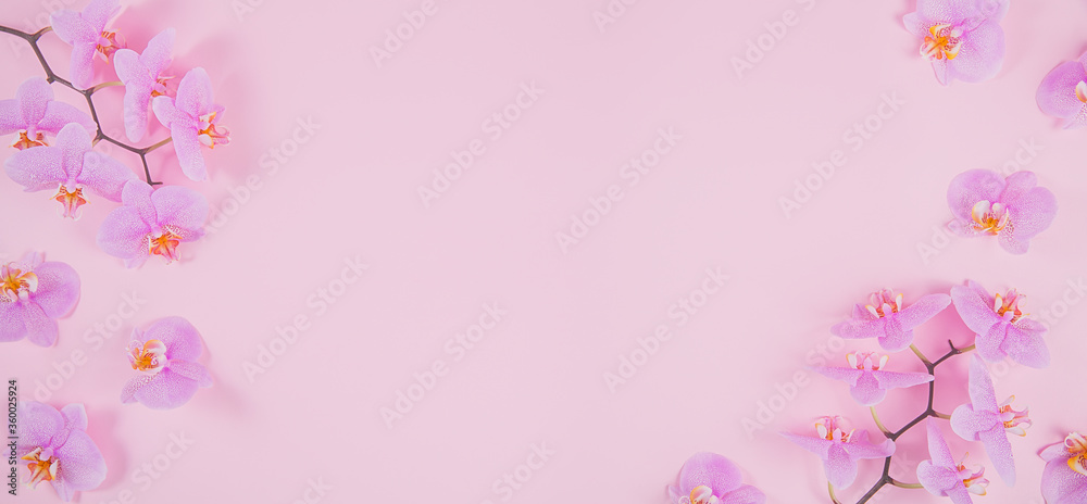 Purple orchid flowers on a light pink background. Beautiful border or greeting card. Long banner or template with free space.