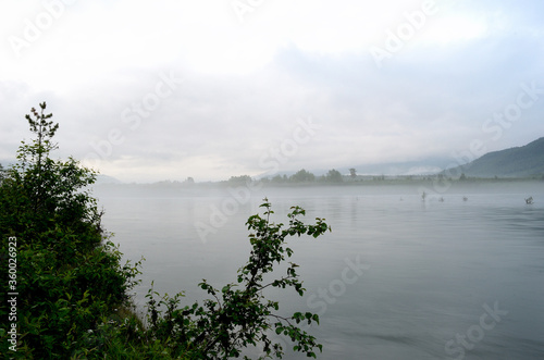 heavy mist over river landscape