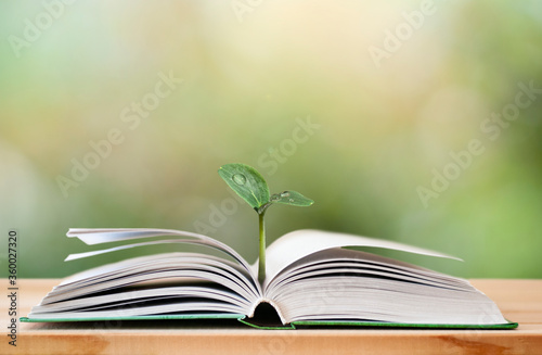 open book with green sprout on the nature blurred backgrounds