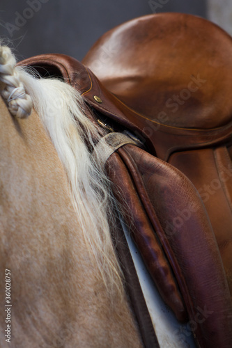 Detail of brown english saddle on  a palomino horse.