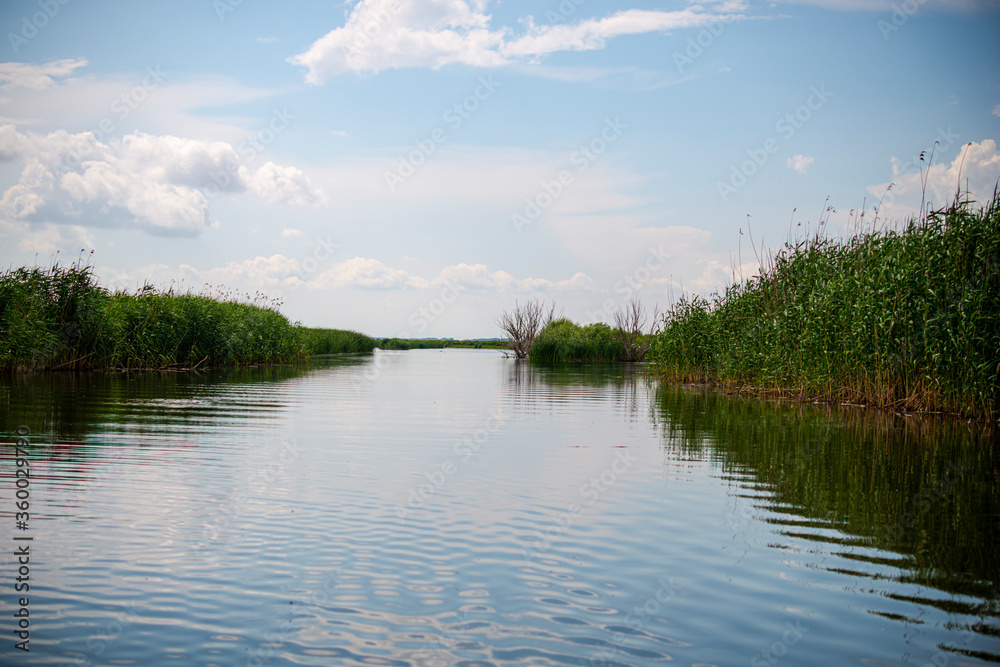 Fototapeta premium Danube Delta view