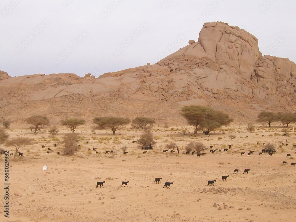 TAMANRASSET AHAGGAR, ALGERIA. SAFARI IN THE SAHARA DESERT AND AHAGGAR MOUNTAINS. TAMANRASSET AHAGGAR, ALGERIA. SAFARI IN THE SAHARA DESERT AND AHAGGAR MOUNTAINS.