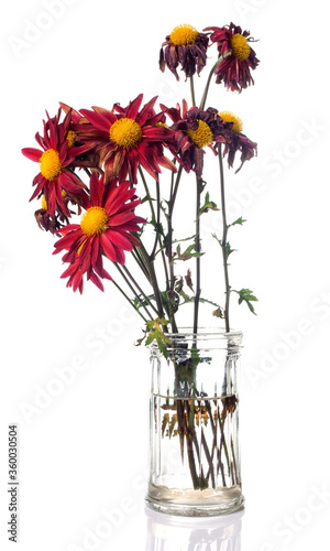 Some dead flowers mixed to good flowers in a glass vase over a white background.