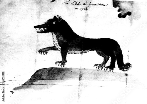 gravure ancienne du XVIII siècle montrant la bête du gévaudan 