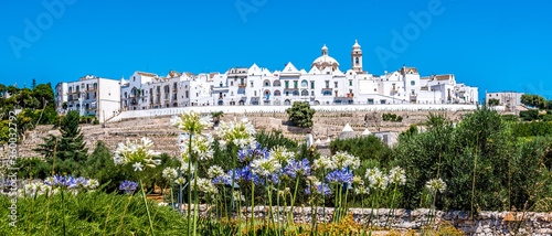 A field of sunflowers in front of the hilltop settlement of Locorontondo, Puglia, Italy in the summertime