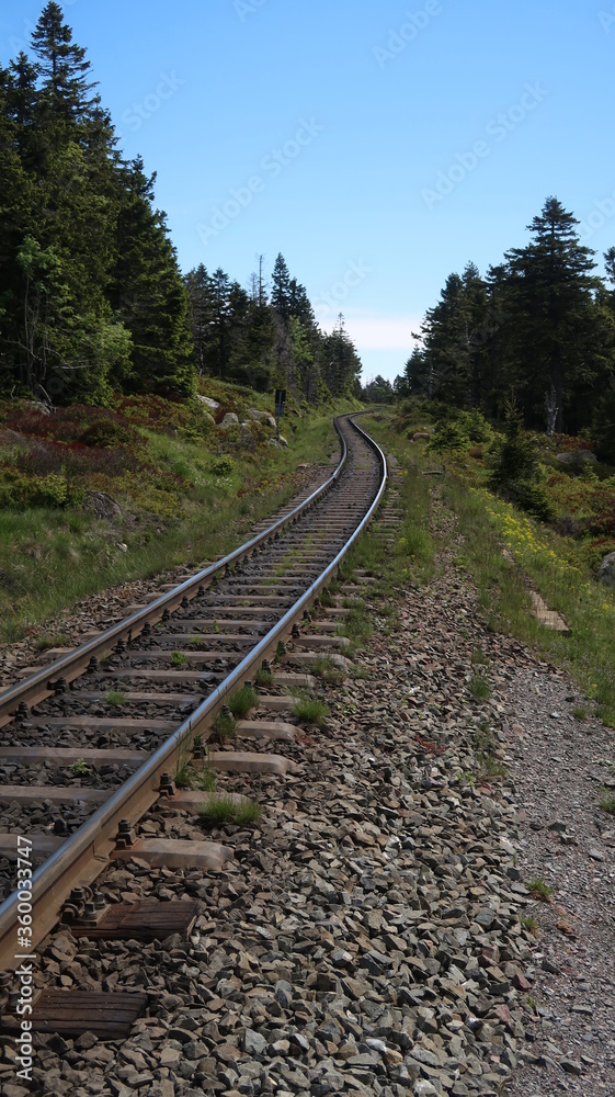 Fototapeta premium Brockenbahn im Harz - Wandern im Wald