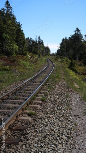 Brockenbahn im Harz - Wandern im Wald