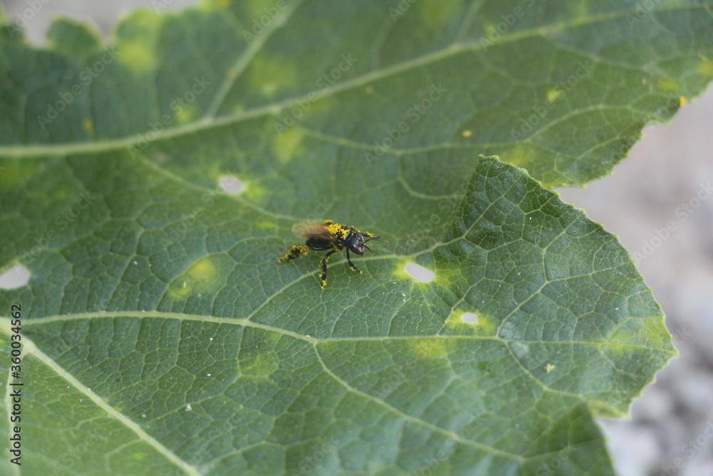 what strange light is this?