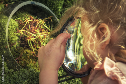 Child exploring plants through magnifier concept for children curiosity and biology education