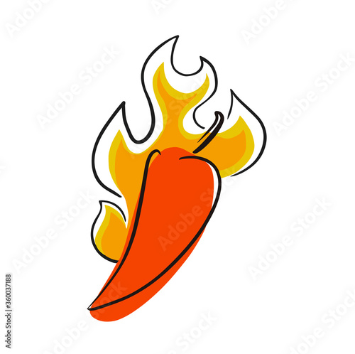 Chilli pepper, red chilly. Vector illustration. Fresh organic vegetable, hot pepper in engraved style. Detailed food drawing. Great for label, poster, print. isolated on white