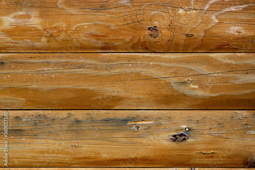 Wallpaper Mural Wooden photophone from a coniferous tree Torontodigital.ca