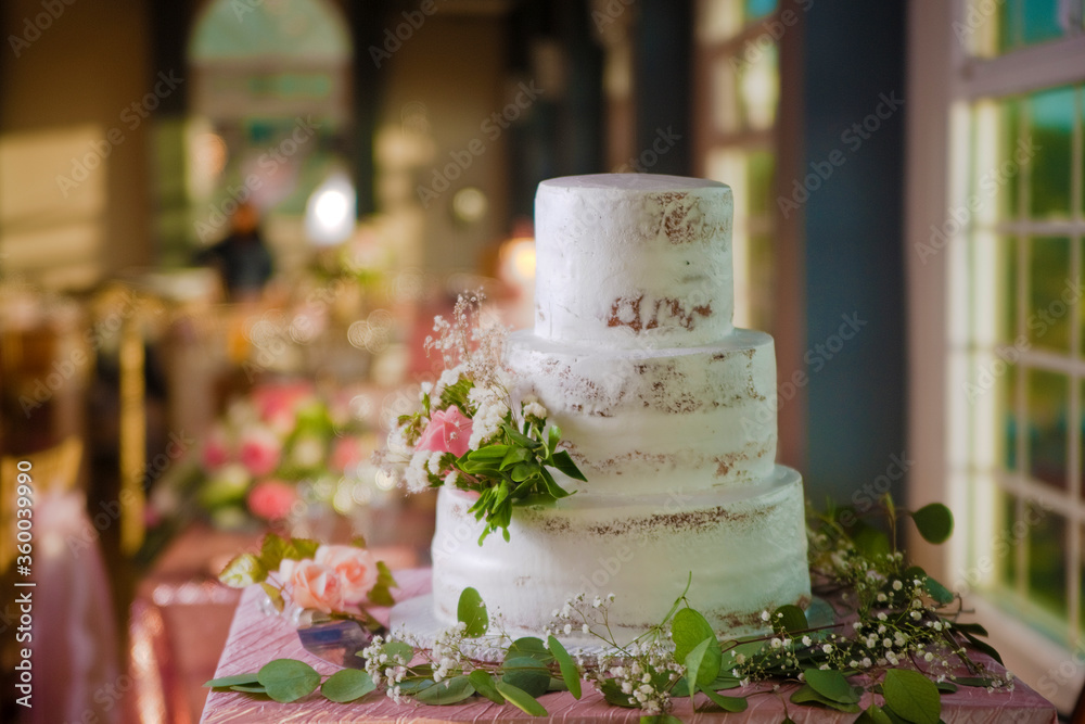 a beautiful table adorned with small flower plants surrounding a delicious white three-tier cake which also has flowers in the middle, in the background are more arrangements and large windows in a ha