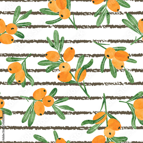 Seamless watercolor sea buckthorn pattern. Vector stripe background with orange berries.