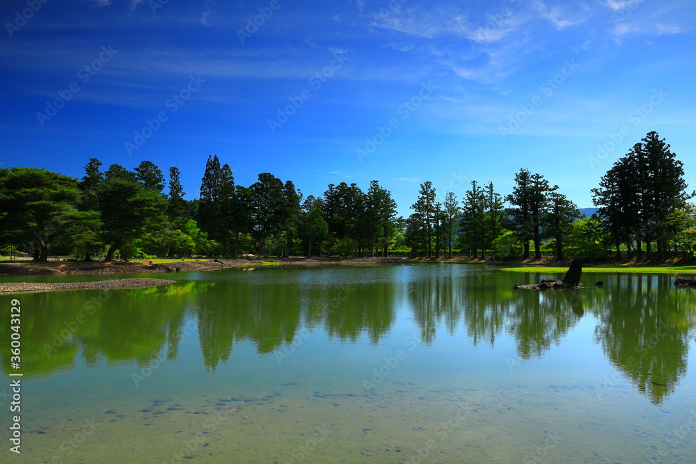 Fototapeta premium 世界遺産 初夏の毛越寺