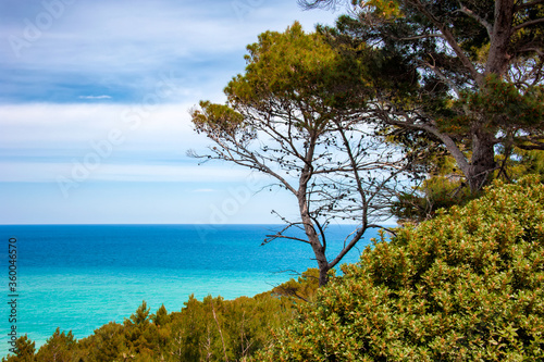 Cuadro en lienzo View of sea, rocks and large beach of the Gargano Coast, National park on Apuglia on Italy