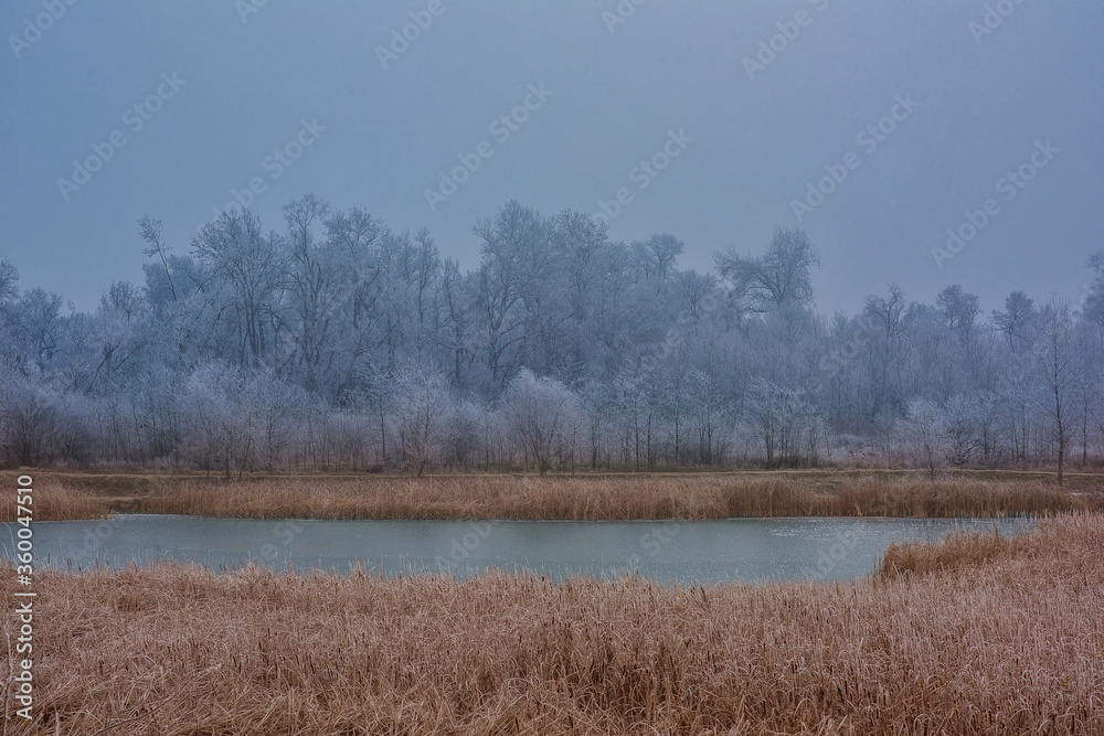 lake in the forest covered with frost in winter