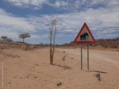 Nambian sand road with elephant crossing sign photo