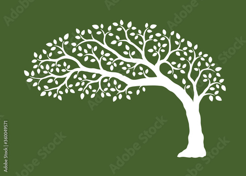 Tree growing to the side, silhouette