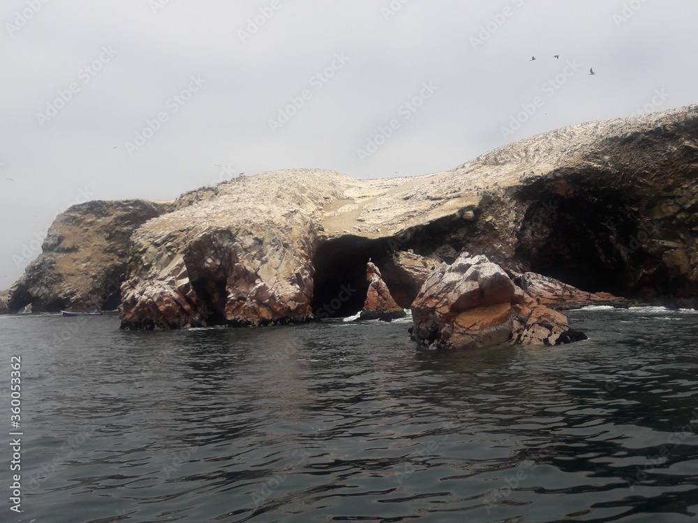 Fototapeta premium Ballestas Islands Paracas Peru 2019
